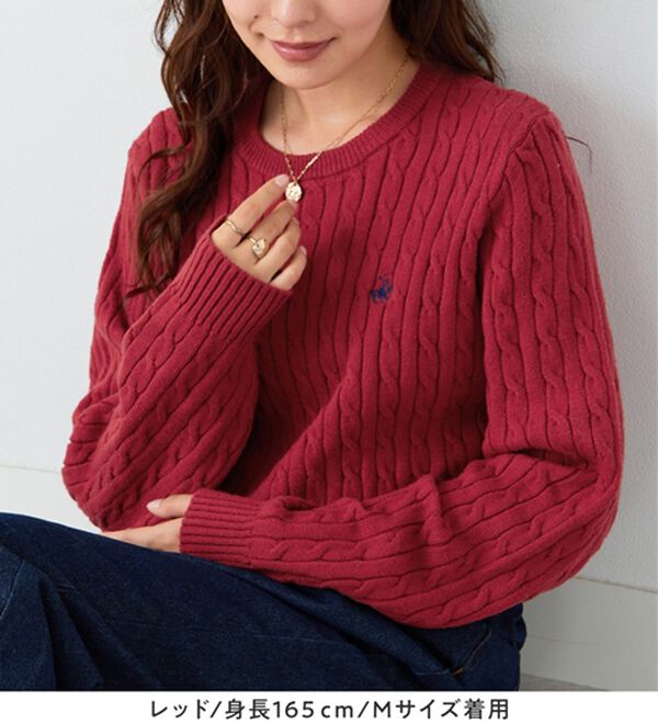 Viola e Viola（ヴィオラ エ ヴィオラ）の「【ビバリーヒルズポロクラブ】ケーブル柄ショートニット（ニット・セーター）」｜詳細画像