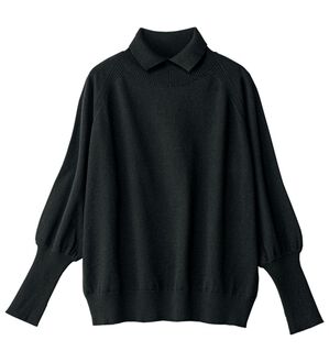 ルフラン（ルフラン）の「＜スタイルプリュ＞衿付プルオーバー（ニット・セーター）」｜黒
