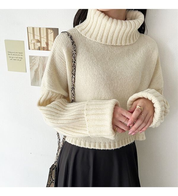 GeeRA（ジーラ）の「タートルネックショート丈ニット（ニット・セーター）」｜詳細画像