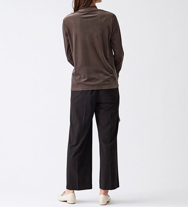 BELLUNA（ベルーナ）の「艶やかシアーベロア袖シャーリングプルオーバー（カットソー）」｜詳細画像