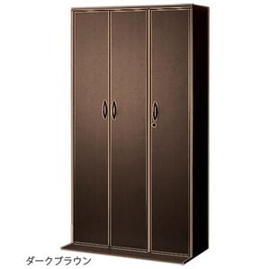 「文庫本も対応！ＡＶコミックキャビネット＜本棚　書棚　コミック収納　ＤＶＤ収納　扉付　鍵付　日本製　漫画棚　本棚＞（ラック・棚・本棚）」｜ダークブラウン