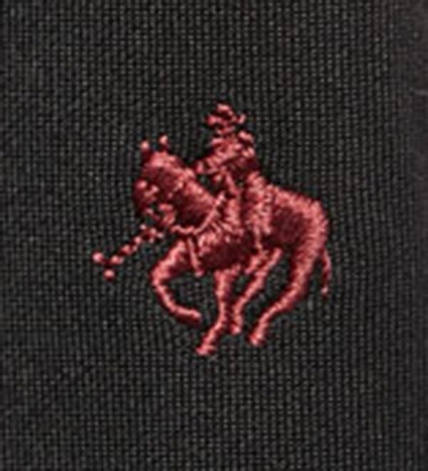 BELLUNA（ベルーナ）の「【ＰＯＬＯ　ＢＣＳ】ウォーキングジャージパンツ（フルレングスパンツ）」｜詳細画像
