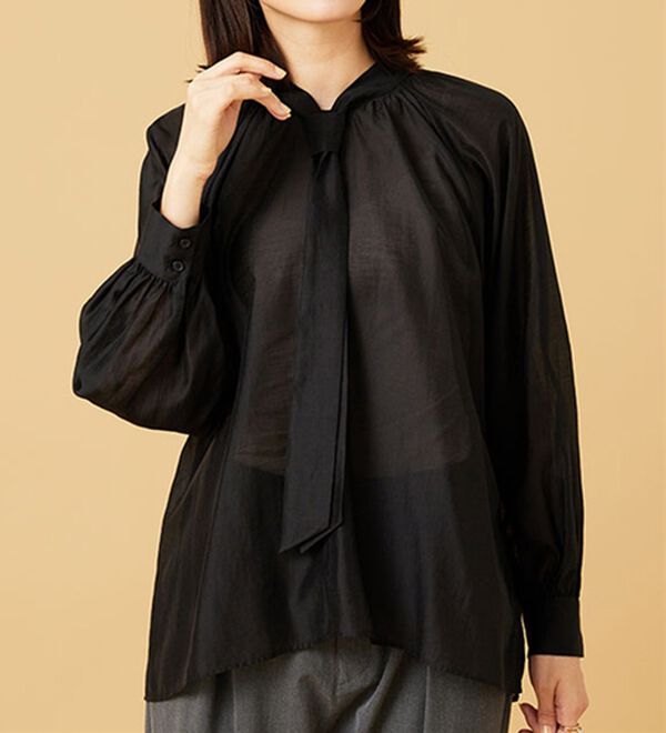 BELLUNA（ベルーナ）の「ブライトシアー素材ボウタイブラウス（ブラウス）」｜詳細画像