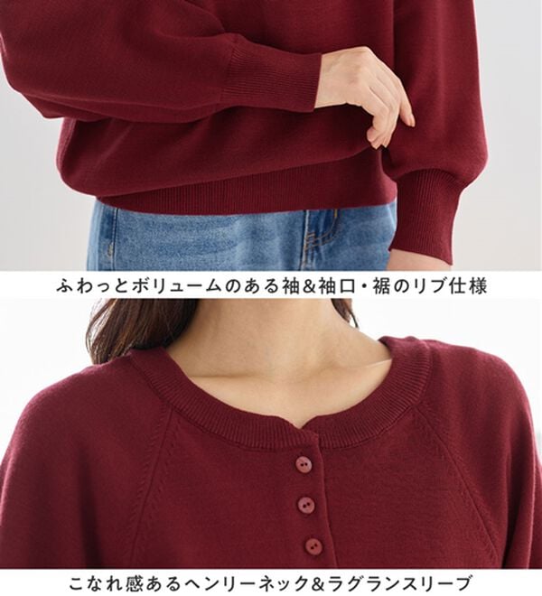 Viola e Viola（ヴィオラ エ ヴィオラ）の「【ゆったり着られる】洗える！ヘンリーネックニット（ニット・セーター）」｜詳細画像