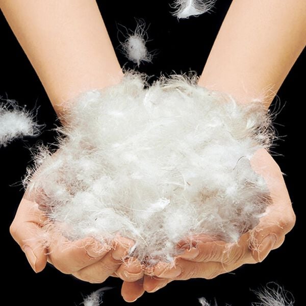 「＜丸八真綿＞日本製リサイクルダウン８５％使用羽毛肌掛布団（掛布団）」｜詳細画像