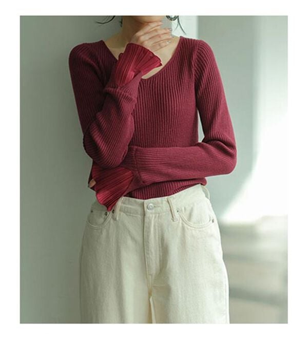 GeeRA（ジーラ）の「プリーツ付Ｖネックリブニットトップス（ニット・セーター）」｜詳細画像