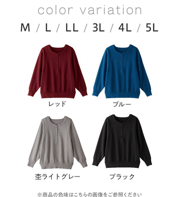 Viola e Viola（ヴィオラ エ ヴィオラ）の「【ゆったり着られる】洗える！ヘンリーネックニット（ニット・セーター）」｜詳細画像