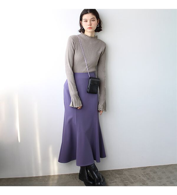 GeeRA（ジーラ）の「プリーツ付ハイネックリブニットトップス（ニット・セーター）」｜詳細画像