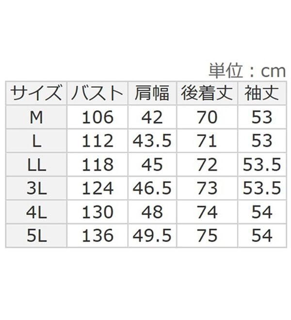 BELLUNA（ベルーナ）の「秋かおる裾刺しゅうシャツ（シャツ）」｜詳細画像