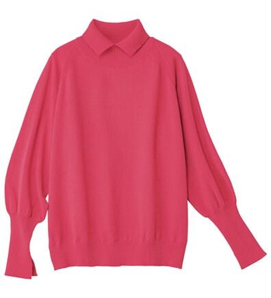 ルフラン（ルフラン）の「＜スタイルプリュ＞衿付プルオーバー（ニット・セーター）」