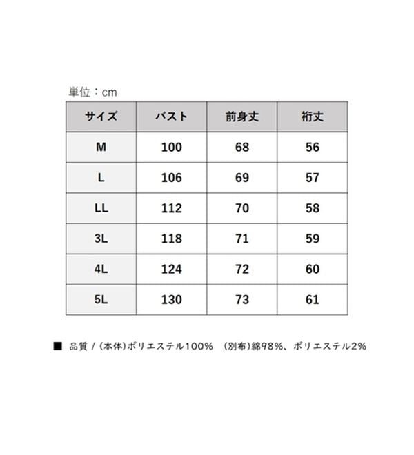 BELLUNA（ベルーナ）の「ラメストライプシャツフェイクチュニック（チュニック）」｜詳細画像