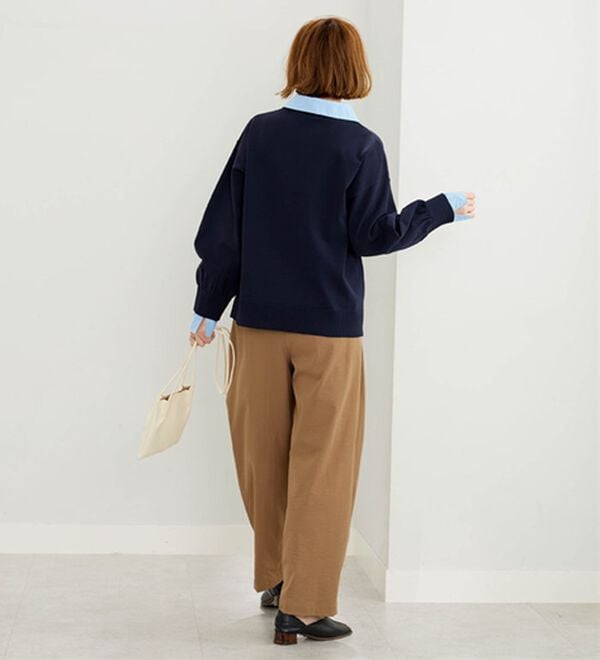 BELLUNA（ベルーナ）の「シャツ衿使いニットプルオーバー（ニット・セーター）」｜詳細画像