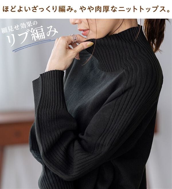 BELLUNA（ベルーナ）の「トレーナーがカジュアルすぎる方に！洗えるリブハイネックニット（ニット・セーター）」｜詳細画像