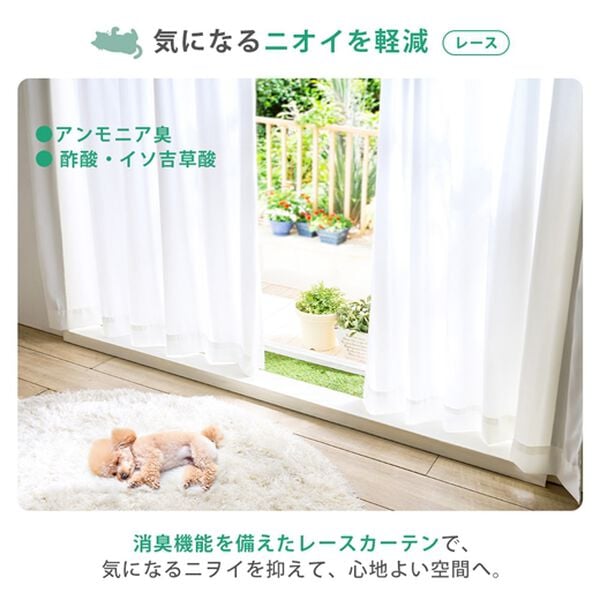 iellio（イエリオ）の「ひっかきに強いカーテンセット４枚組＜ペットのいるご家庭に・１００％遮光・断熱保温・防音・ＵＶカット・消臭・形状記憶＞（ドレープカーテン）」｜詳細画像