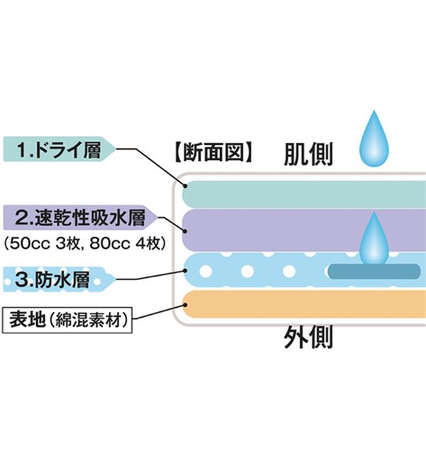 「≪ＴＶ限定★≫【４枚組】速乾性吸水パンツ「タフガードハイドライ」（メンズ尿漏れパンツ）」｜詳細画像