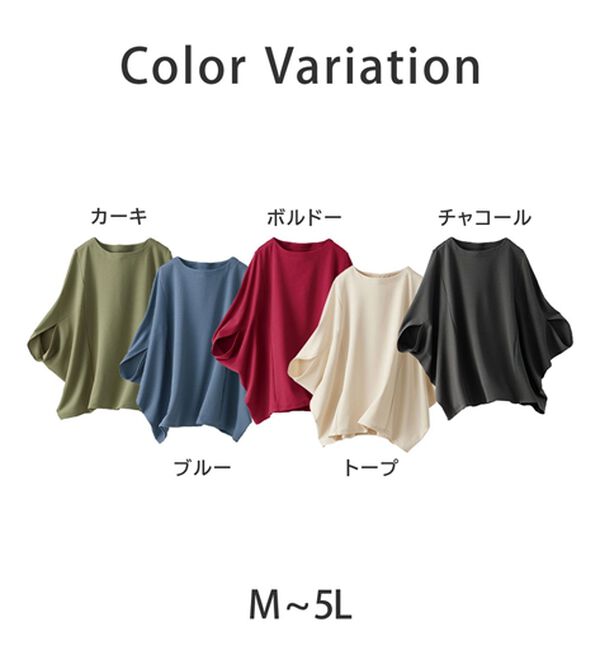 BELLUNA（ベルーナ）の「美しく隠す！技ありカットジョーゼットトップス（カットソー）」｜詳細画像