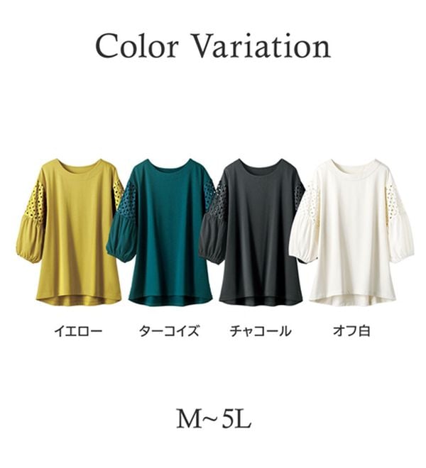 BELLUNA（ベルーナ）の「ボリューム袖レース切替プルオーバー（カットソー）」｜詳細画像