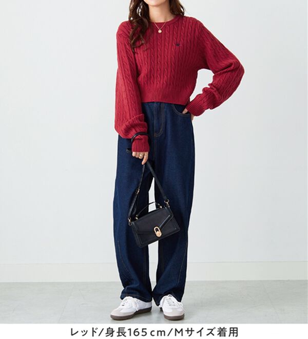 Viola e Viola（ヴィオラ エ ヴィオラ）の「【ビバリーヒルズポロクラブ】ケーブル柄ショートニット（ニット・セーター）」｜詳細画像