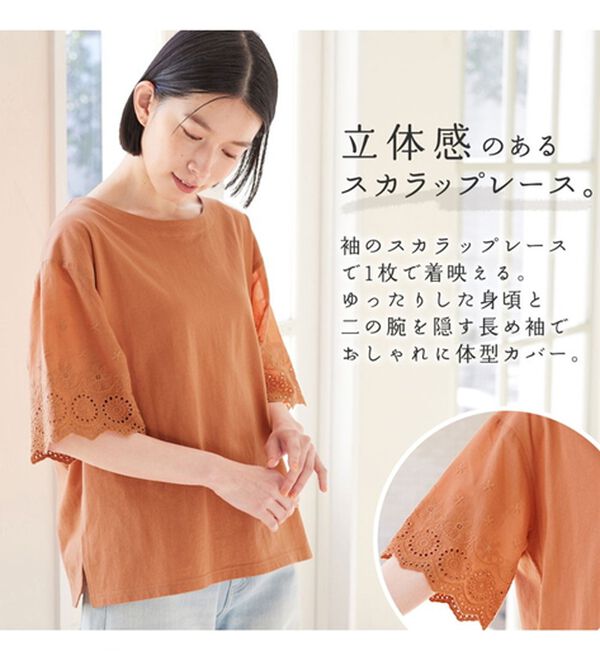 Viola e Viola（ヴィオラ エ ヴィオラ）の「綿１００％ 袖レース切替Ｔシャツ（Tシャツ）」｜詳細画像