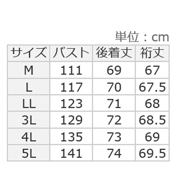 ルフラン（ルフラン）の「【２色組】Ｖ字タック切替ブラウス（ブラウス）」｜詳細画像