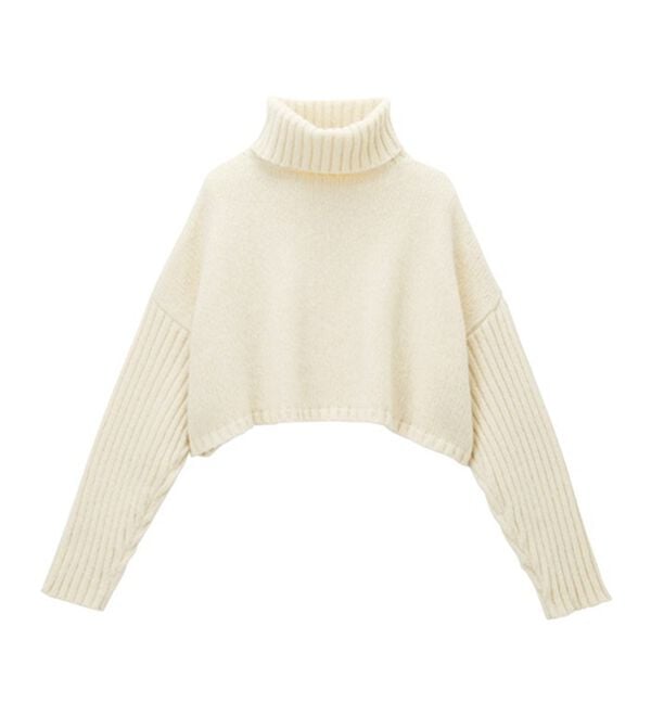 GeeRA（ジーラ）の「タートルネックショート丈ニット（ニット・セーター）」｜詳細画像