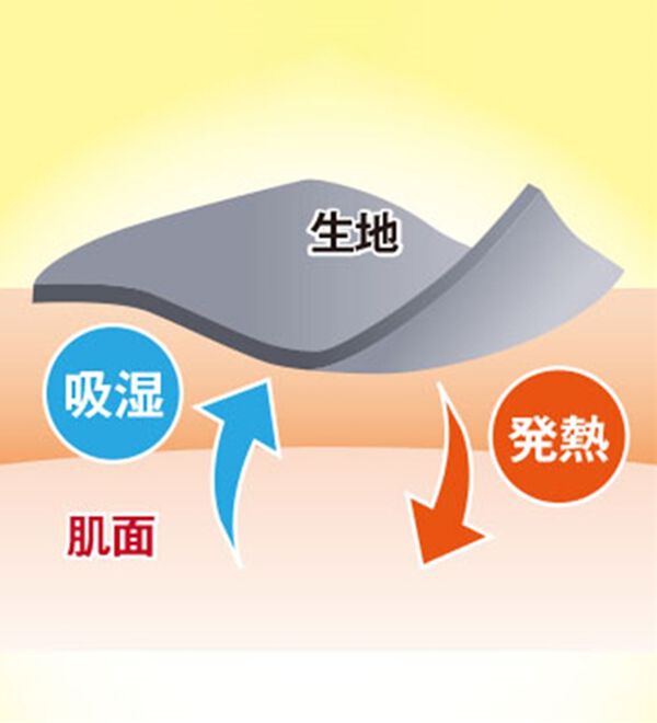 BELLUNA（ベルーナ）の「吸湿発熱ポンチ素材ゆったりチュニック（カットソー）」｜詳細画像