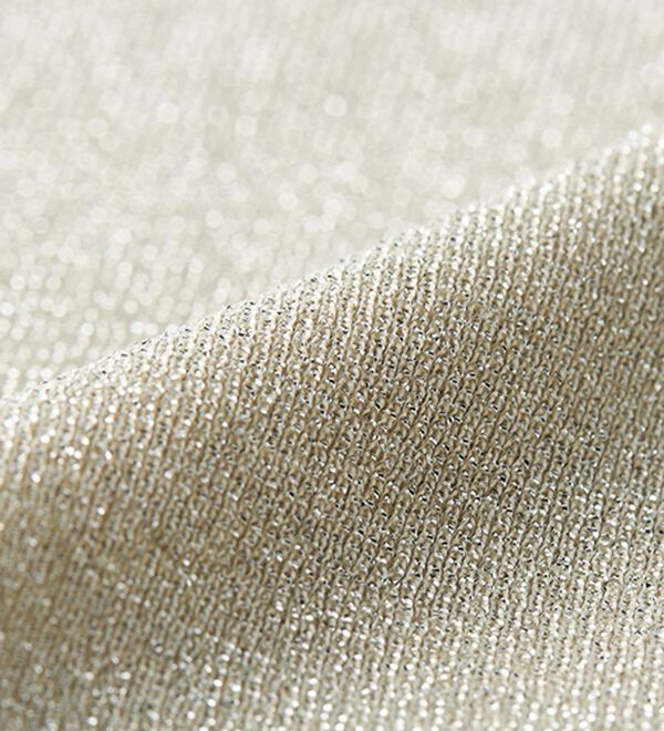 RANAN（ラナン）の「ひんやり！ラメカットソー　Ｔシャツ（Tシャツ）」｜ベージュ／シルバー