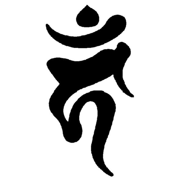 「ブラックオニキス　守護梵字般若心経ペンダント（メンズネックレス）」｜酉(不動明王)