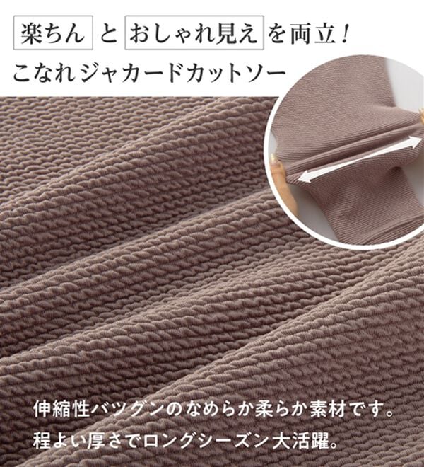 Viola e Viola（ヴィオラ エ ヴィオラ）の「ふくれジャカードドルマントップス（カットソー）」｜詳細画像