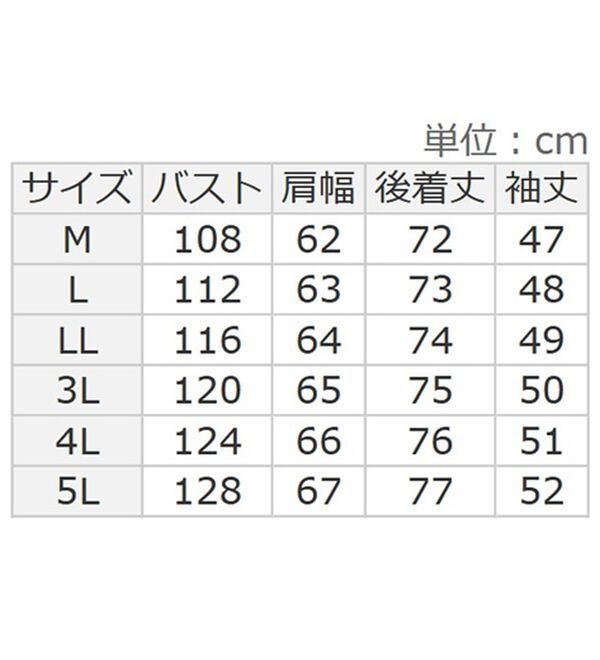 BELLUNA（ベルーナ）の「重ね着風抜き衿デザインシャツチュニック（チュニック）」｜詳細画像