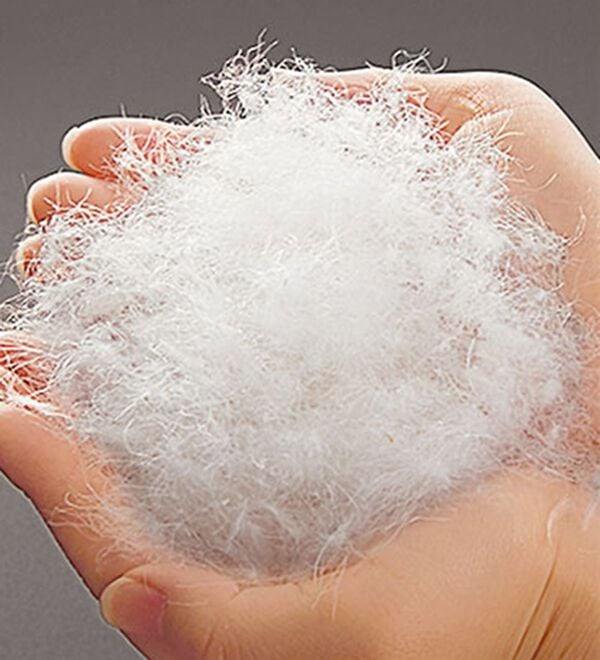 BELLUNA（ベルーナ）の「フレンチダウン使いノーカラージャケット（ショートコート）」｜詳細画像