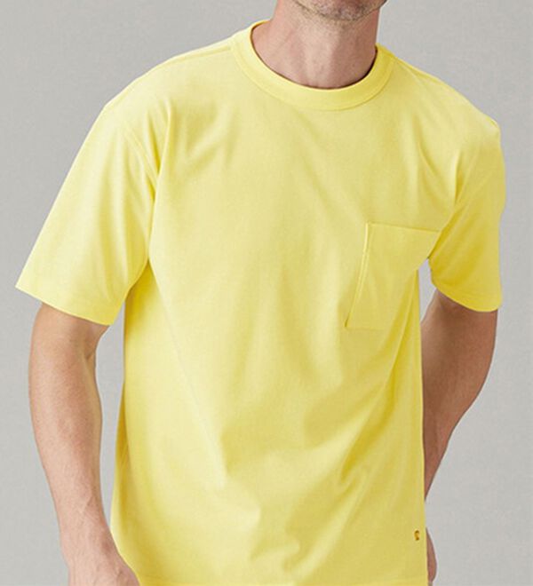 「＜ゴールデンベア＞長く着られる上質Ｔシャツ（メンズＴシャツ）」｜詳細画像