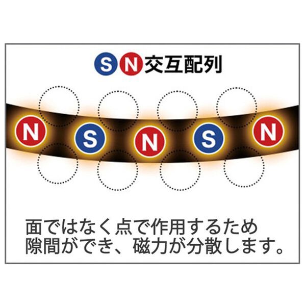 「＜ファイテン＞ＲＡＫＵＷＡ磁気チタンネックレス　メタルトップ（その他美容・健康機器）」｜詳細画像