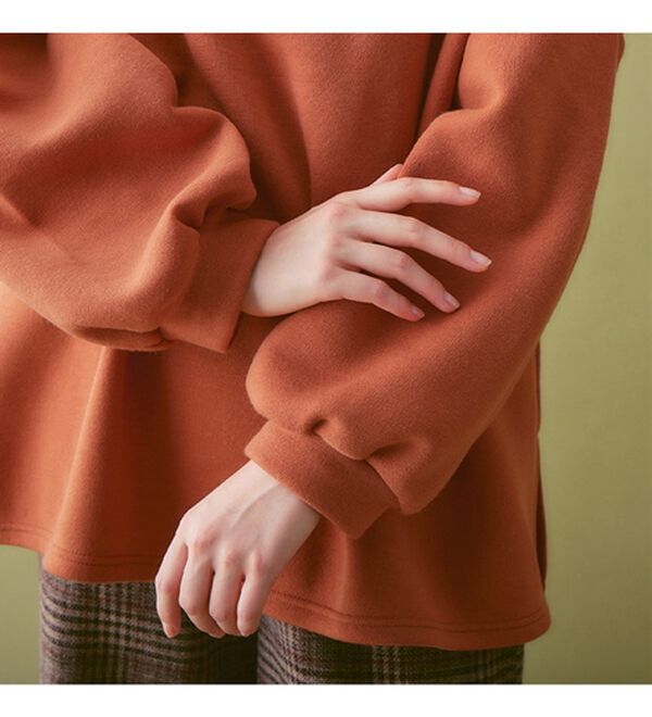 Viola e Viola（ヴィオラ エ ヴィオラ）の「あったか裏起毛Ｖネックチュニック（チュニック）」｜詳細画像