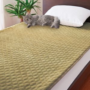 「Ｄｒ．ｓ　ＢＮ　ＬＡＢＯ&times;ＳＥＬＦＬＡＭＥ　リバーシブル遠赤中わた敷きパッド（敷パッド）」｜ベージュ