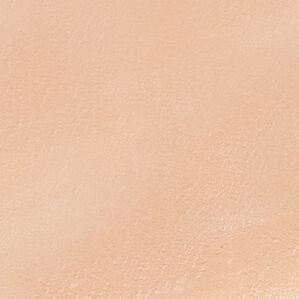 「プロの仕上がりプロシアファンデーションＵＶ（コスメ・メイク小物）」｜ライトベージュ