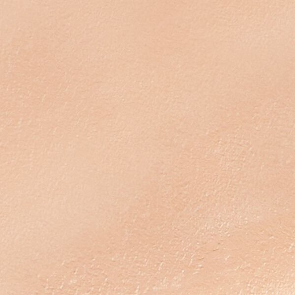 「プロの仕上がりプロシアファンデーションＵＶ（コスメ・メイク小物）」｜ライトベージュ