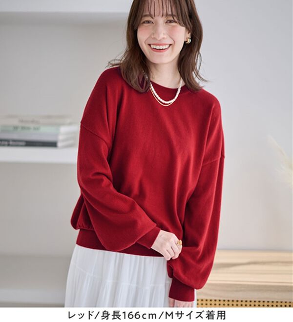 Viola e Viola（ヴィオラ エ ヴィオラ）の「【洗えるニット】着回し力抜群！秋から着られるシンプルニットトップス（ニット・セーター）」｜詳細画像