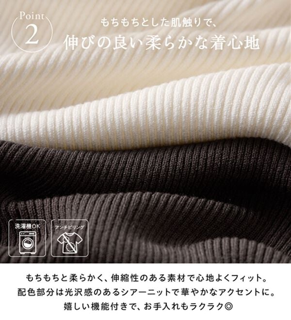 GeeRA（ジーラ）の「シアー配色レイヤード風リブニット（ニット・セーター）」｜詳細画像