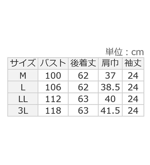 alotta（アロッタ）の「上品細見えピンタックブラウス（ブラウス）」｜詳細画像