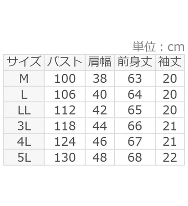 Viola e Viola（ヴィオラ エ ヴィオラ）の「綿１００％袖タックＴシャツ（Tシャツ）」｜詳細画像