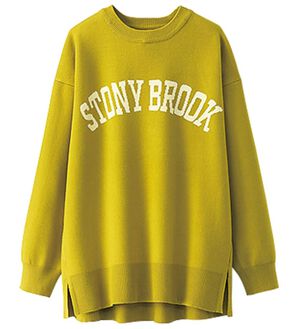 BELLUNA（ベルーナ）の「ジャカードニット素材ロゴプルオーバー（ニット・セーター）」｜イエロー