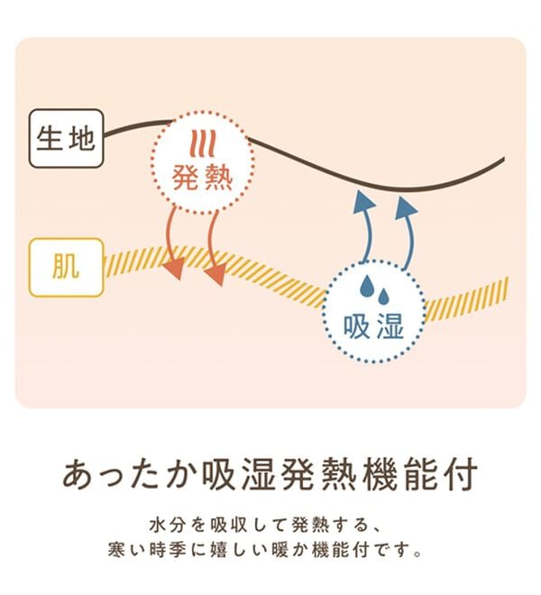 Viola e Viola（ヴィオラ エ ヴィオラ）の「あったか綿衿見せレーストップス【吸湿発熱&times;静電気防止】（カットソー）」｜詳細画像