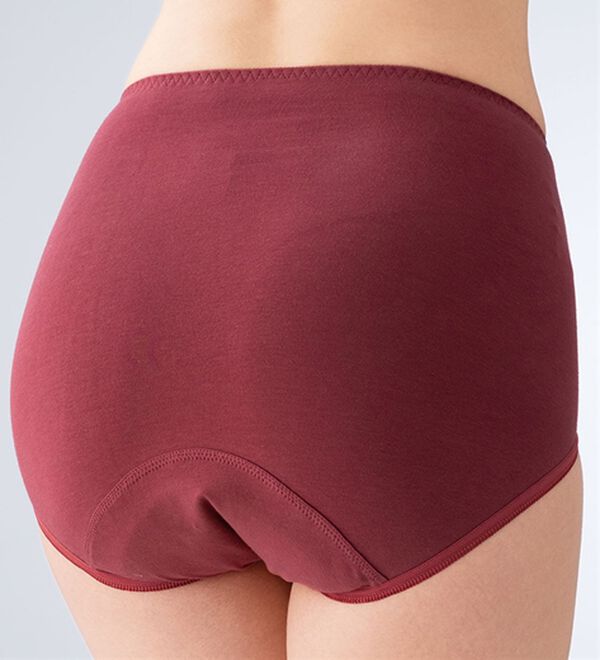 「【５色組】吸湿発熱！お腹あったか安心ショーツ（安心ショーツ）」｜詳細画像