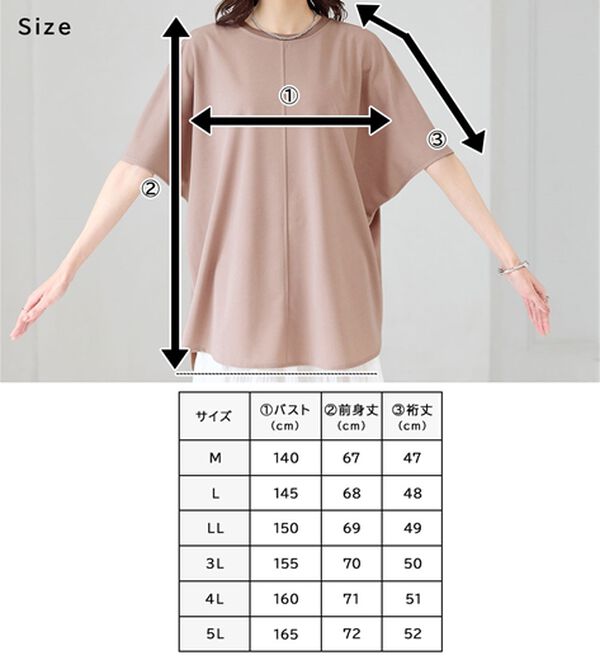 BELLUNA（ベルーナ）の「Ｔシャツ感覚なのにきちんとブラウス見え！カットジョーゼット半袖プルオーバー（カットソー）」｜詳細画像