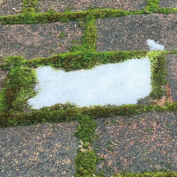 「業務用ガチ落ちコケ・カビ取り２本組（その他日用品）」｜詳細画像