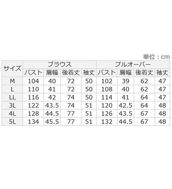 BELLUNA（ベルーナ）の「《友達に差をつける！》杢調シャンブレー刺しゅう切替アンサンブル（ブラウス）」｜詳細画像