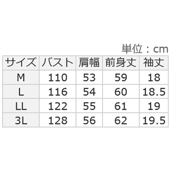 Viola e Viola（ヴィオラ エ ヴィオラ）の「ほんのり透け感綿混セミシアートップス（カットソー）」｜詳細画像
