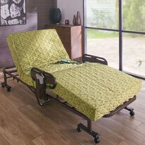 「組立不要マットが選べる電動ベッド（ベッド）」