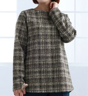 BELLUNA（ベルーナ）の「裏ベロア素材ロング丈プルオーバー（カットソー）」｜ベージュ系チェック